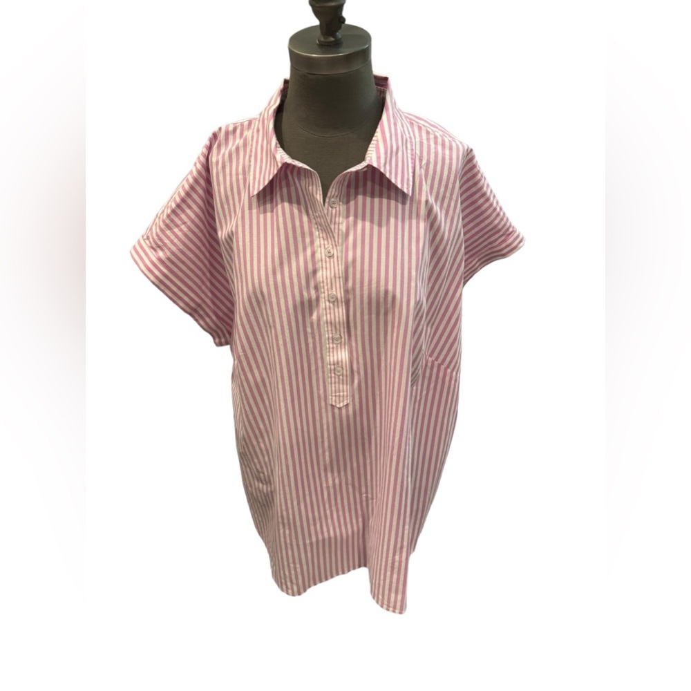 Talbots PLUS BUTTON DETAIL POPOVER - PENCIL STRIPE 2X